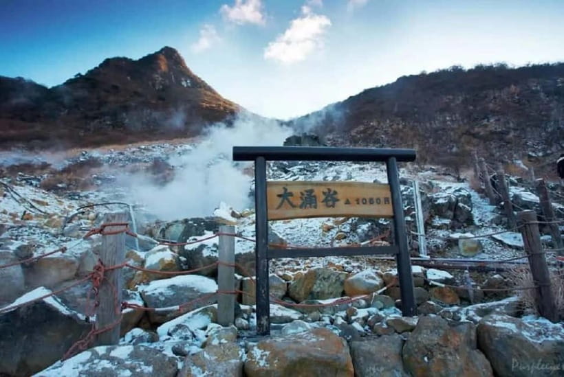 Mt.Fuji Hakone Day Tour With Lake Ashi Cruise, FREE Ropeway - Price and Value: Is This $58 Tour a Smart Buy?