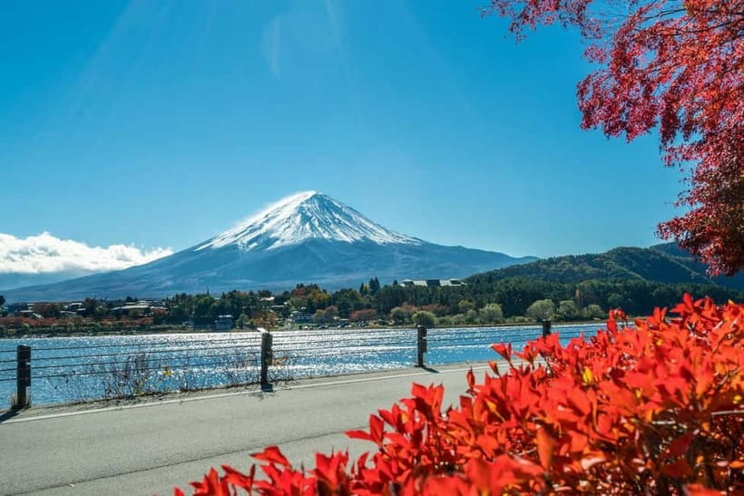 Mt.Fuji Hakone Day Tour With Lake Ashi Cruise, FREE Ropeway - Guide Quality Makes a Difference on a Day This Packed