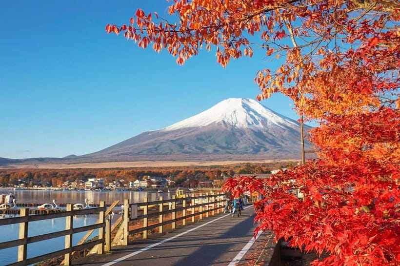 Mt Fuji Hakone/Enoshima Tour:Optional Ropeway/Lake Ashi Boat - Key points worth knowing before you go