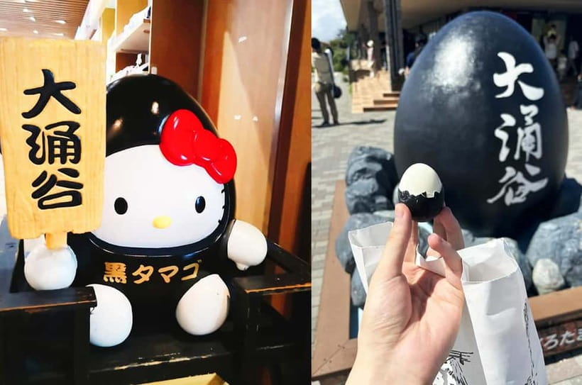 Mt Fuji Hakone/Enoshima Tour:Optional Ropeway/Lake Ashi Boat - Guides Matter: The Difference Between Helpful and Just Drop-Off