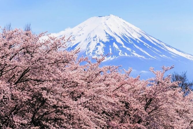 Mt. Fuji, Hakone Full-Day Private Tour with English Driver - Price and value for up to 6 people
