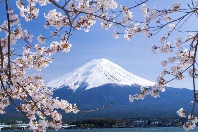 Mt. Fuji, Hakone Full-Day Private Tour with English Driver - Stop 2: Lake Kawaguchiko for cool air and photo-friendly options
