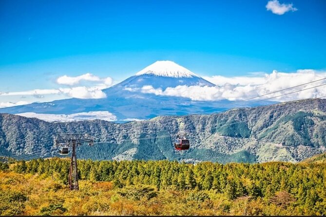 Mt. Fuji, Hakone Full-Day Private Tour with English Driver - Stops 4 and 5: Oishi Park and Oshino Hakkai