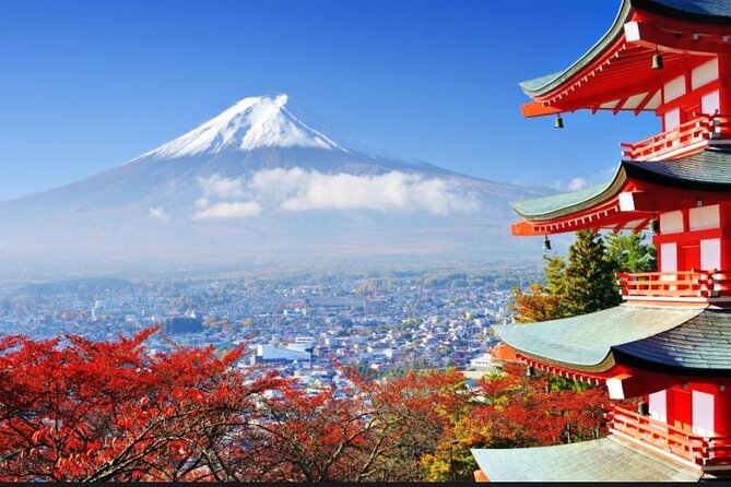Mt. Fuji, Hakone Full-Day Private Tour with English Driver - Stop 6: Kitaguchi Hongu Fuji Sengen Jinja Shrine