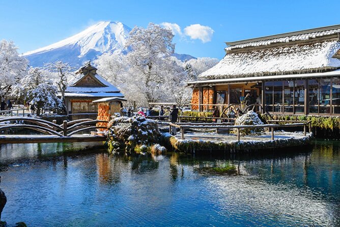 Mt. Fuji, Hakone Full-Day Private Tour with English Driver Guide - Key highlights worth knowing before you go
