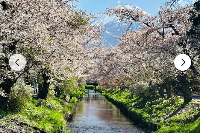 Mt. Fuji, Hakone Full-Day Private Tour with English Driver Guide - Private pickup from Tokyo, in one long Fuji day