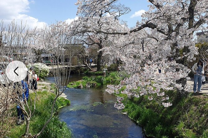 Mt. Fuji, Hakone Full-Day Private Tour with English Driver Guide - Lake Kawaguchiko: cruise options and the ropeway to Kachi Kachi