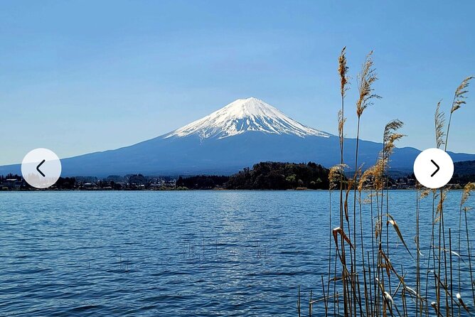 Mt. Fuji, Hakone Full-Day Private Tour with English Driver Guide - Oshino Hakkai ponds plus Owakudani steaming vents