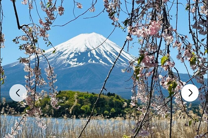 Mt. Fuji, Hakone Full-Day Private Tour with English Driver Guide - Lake Ashi and the red torii at Hakone Shrine