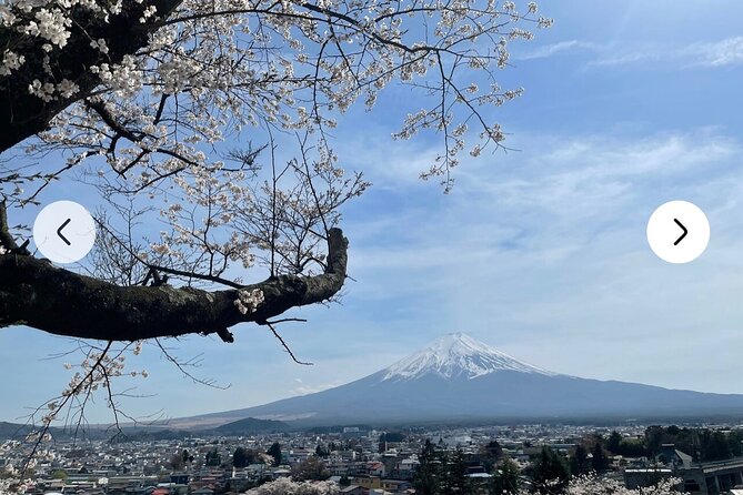 Mt. Fuji, Hakone Full-Day Private Tour with English Driver Guide - Arakurayama Sengen Park, Chureito Pagoda, and Saiko Iyashi no Sato Nenba