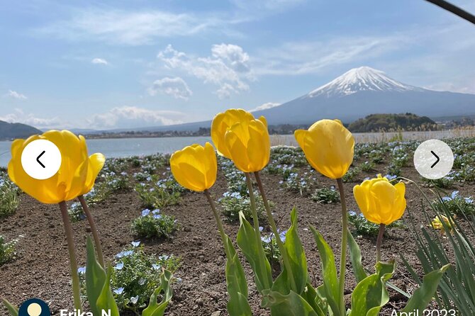 Mt. Fuji, Hakone Full-Day Private Tour with English Driver Guide - Fuji-Q Highland and the choice between thrills and photos