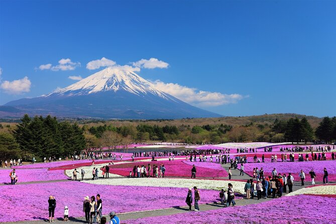 Mt. Fuji, Hakone Full-Day Private Tour with English Driver Guide - Mt. Fuji Subaru Line 5th Station: best views, short time, weather reality