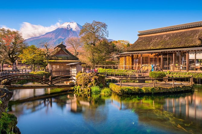 Mt. Fuji & Hakone Private Day Tour with English-Speaking Driver - Price and Value: What $453.56 Per Group Really Buys You