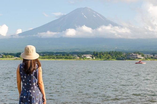 Mt. Fuji & Hakone Private Day Tour with English-Speaking Driver - Hakone Ropeway to Komagatake: Panoramic Views That Pay Off