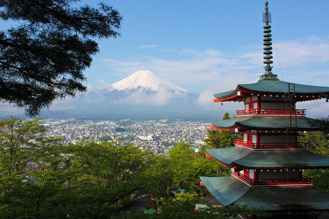 Mt. Fuji & Hakone Private Day Tour with English-Speaking Driver - The 8:00 AM Pickup: How the Schedule Sets You Up for Mt. Fuji Views