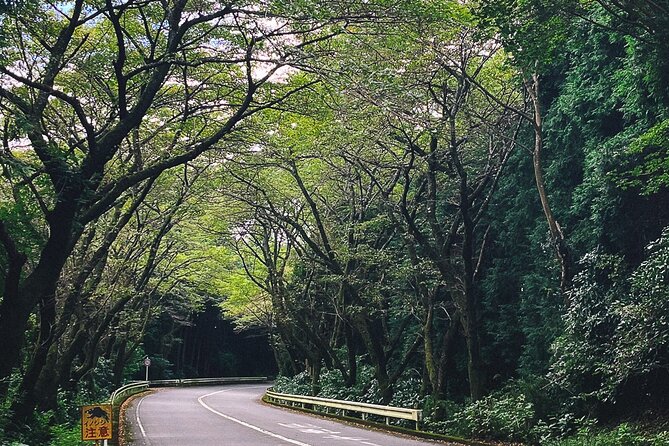 Mt. Fuji, Hakone Private Tour from Tokyo - Onsen, Arts and Nature - Lake Ashinoko, Hakone Shrine, and torii gates you will actually remember