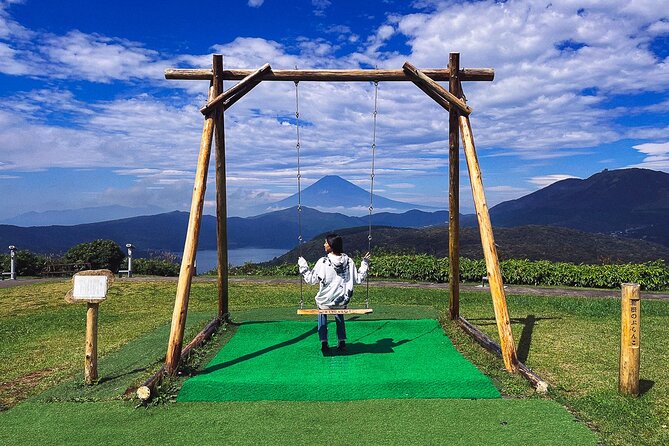 Mt. Fuji, Hakone Private Tour from Tokyo - Onsen, Arts and Nature - Museums after lunch: Hakone Open-Air Museum vs Pola Museum of Art