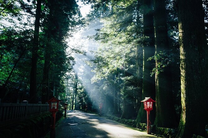 Mt. Fuji, Hakone Private Tour from Tokyo - Onsen, Arts and Nature - Price and value for a group up to five
