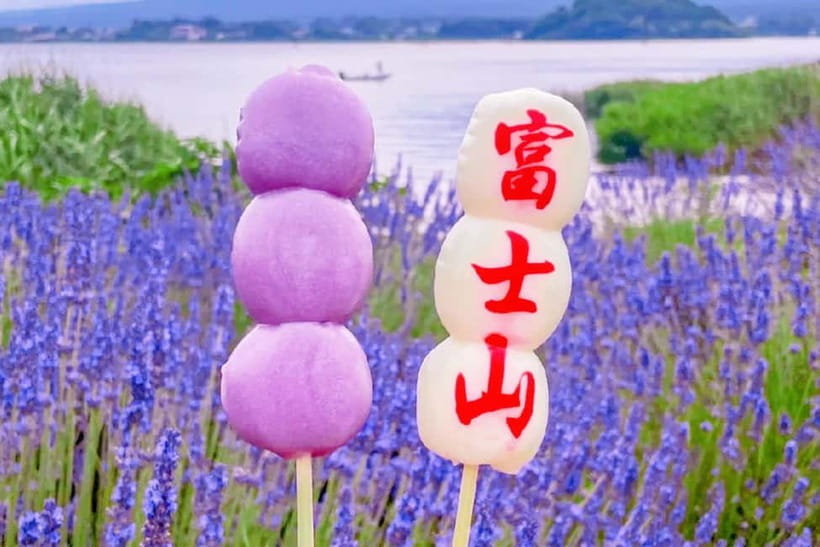 Mt. Fuji Heritage Tour: Traditional Villages, Lakes & Shrine - Lake Kawaguchi Area: A Scenic Buffer Between Classic Stops