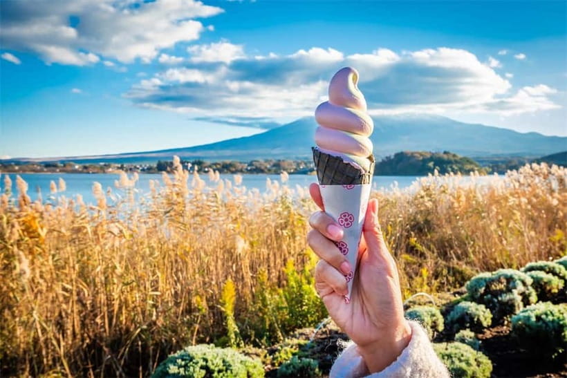 Mt. Fuji Heritage Tour: Traditional Villages, Lakes & Shrine - Arakurayama Sengen Park and the Five-Story Pagoda View