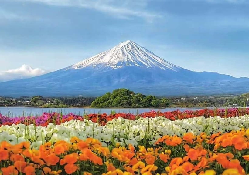 Mt. Fuji Heritage Tour: Traditional Villages, Lakes & Shrine - Local Break Time and Restaurant Stop: Plan for Lunch You Control