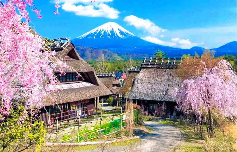 Mt. Fuji Heritage Tour: Traditional Villages, Lakes & Shrine - Tokyo Pickup and the Coach Ride: When the Day Starts Moving