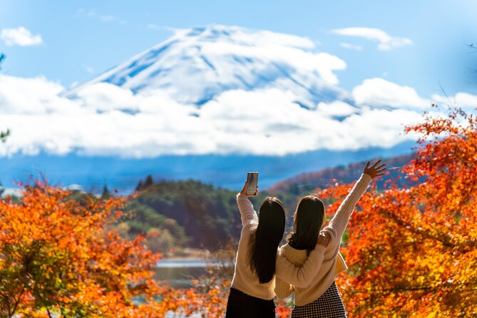 Mt. Fuji Highlight Photo Spots One Day Tour from Tokyo - Price and value: what $78.82 buys you