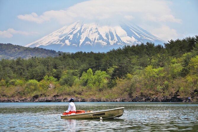 Mt. Fuji Highlight Photo Spots One Day Tour from Tokyo - The Honcho Street walk and nostalgic Fuji glimpses