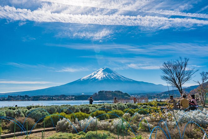 Mt. Fuji Highlight Photo Spots One Day Tour from Tokyo - Lawson Fujikawaguchiko, a quick postcard stop