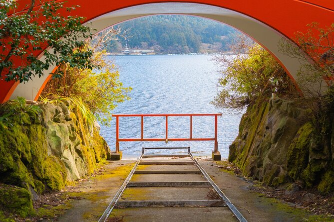 Mt. Fuji Highlight Photo Spots One Day Tour from Tokyo - Oishi Park and seasonal flower framing