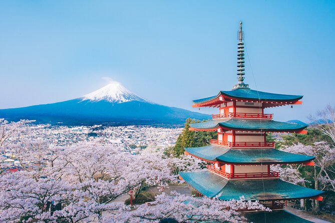 Mt. Fuji Highlight Photo Spots One Day Tour from Tokyo - Shiraito Waterfall: Fuji threads meet cascading motion