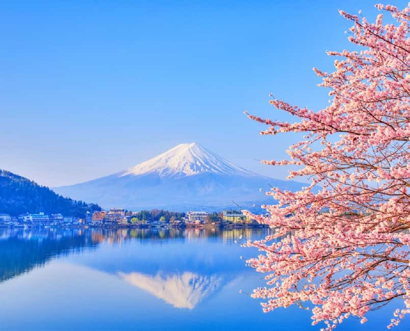 Mt. Fuji & Lake Kawaguchiko Ropeway Panorama Full-Day Tour - Tenjozan Park and the Lake Views: Where the Day Slows Down