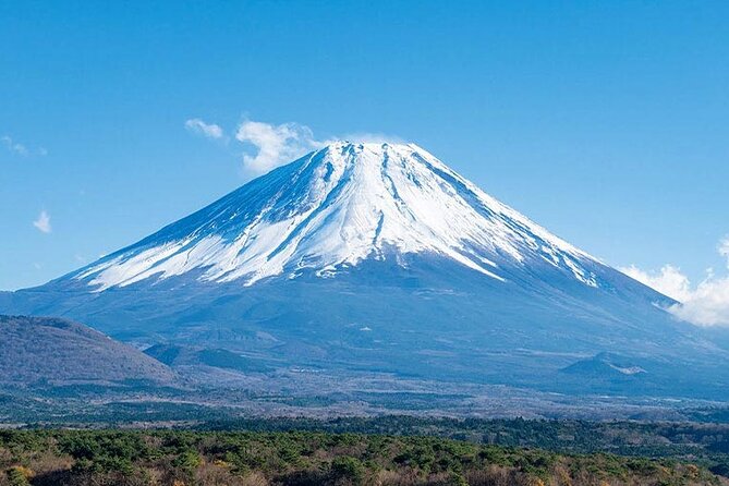 Mt. Fuji, Oishi Park & Arakurayama Pagoda Bus Tour with Lunch - Why this one-day Mt. Fuji bus tour works for most people