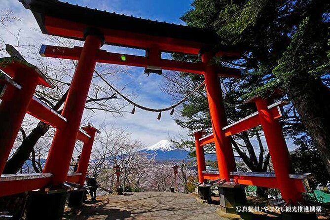 Mt. Fuji, Oishi Park & Arakurayama Pagoda Bus Tour with Lunch - Fujikawaguchiko lunch: meat-and-fish Japanese or vegetarian