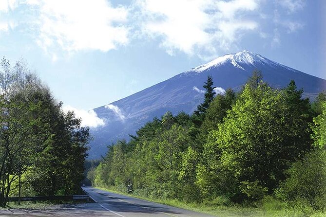 Mt. Fuji, Oishi Park & Arakurayama Pagoda Bus Tour with Lunch - Arakurayama Sengen Park and the Chureito Pagoda climb