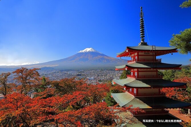 Mt. Fuji, Oishi Park & Arakurayama Pagoda Bus Tour with Lunch - Shinjuku pickup, mobile ticket, and what the bus ride is like