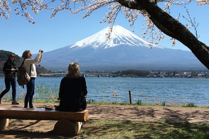 Mt Fuji Private Day Tour from Tokyo with English Speaking Driver - Key points to know before you pick a day