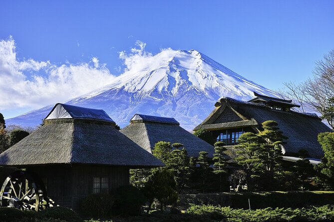 Mt Fuji Private Day Tour from Tokyo with English Speaking Driver - Price and value: $499 per group, up to 5
