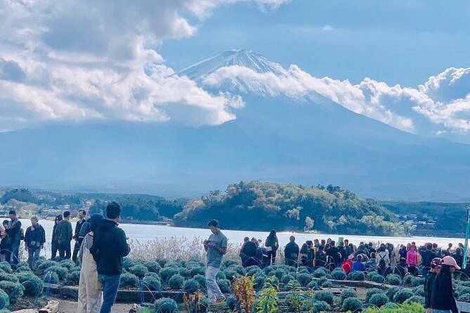 Mt Fuji Private Day Tour from Tokyo with English Speaking Driver - Stop 4: Oishi Park, where the view is the whole point