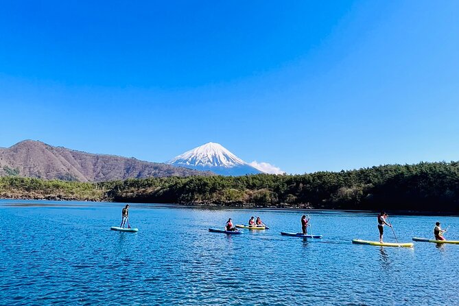 Mt Fuji Private Day Trip from Tokyo with English Speaking Driver - The Kachikachi Ropeway: Your Optional Ticket for the Big Perspective