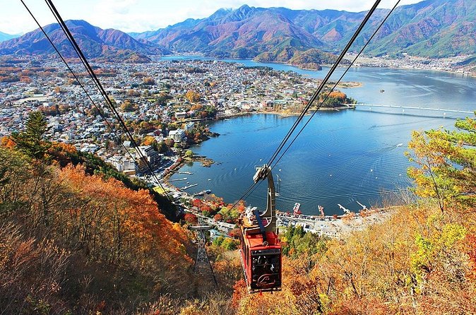 Mt Fuji Private Day Trip from Tokyo with English Speaking Driver - Saiko Iyashi no Sato Nenba: Healing Village Style, Reconstructed and Worth It