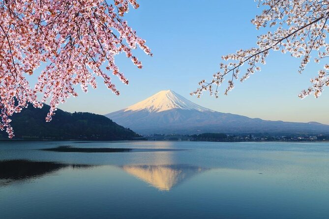 MT. FUJI/ Private Tour delivered and guided by a top-tier driver - Key moments that make this Mt. Fuji day work