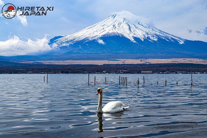 MT. FUJI/ Private Tour delivered and guided by a top-tier driver - The value of $724.78 per group, and when it really pays off
