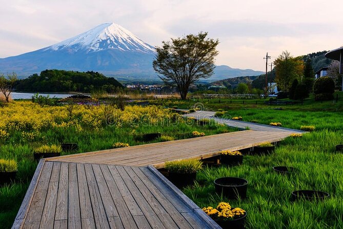 Mt. Fuji Private Tour with English Speaking Driver - Lake Kawaguchiko: ropeway views, hot spring time, and photo timing