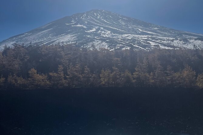 Mt. Fuji Private Tour with English Speaking Driver - Oishi Park flowers, jam making, and a quick stroll with options