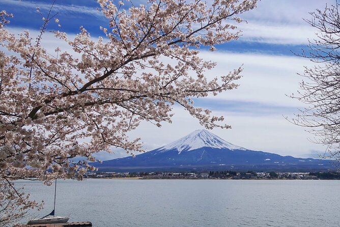 Mt. Fuji Private Tour with English Speaking Driver - Price and logistics: what you pay for and what to plan