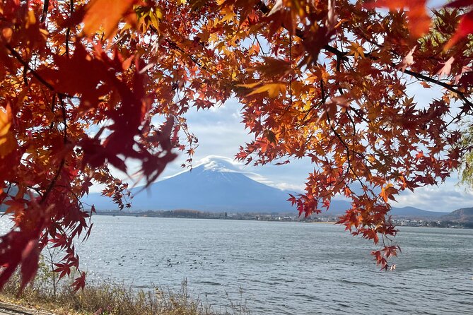Mt Fuji Private Tour with English Speaking Driver - The Route, Starting Point, and How the Timing Works