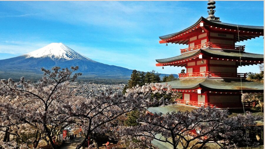 Mt Fuji Sightseeing Private tour with English Speaking Guide - The Tokyo pickup plan that sets the tone