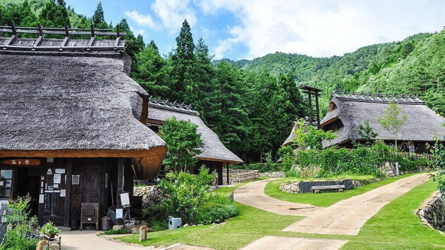 Mt Fuji Sightseeing Private tour with English Speaking Guide - Mt. Fuji 5th Station: the view you came for