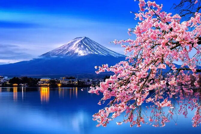Mt. Fuji Tours with Kawaguchi Lake Ropeway View English Speaking - Stop 1: Mt. Fuji Panoramic Ropeway (Lake Kawaguchi Gondola Ride)